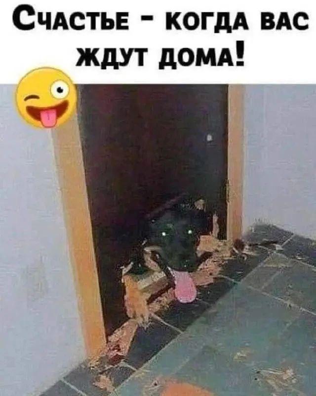 Счастье - когда вас ждут дома!