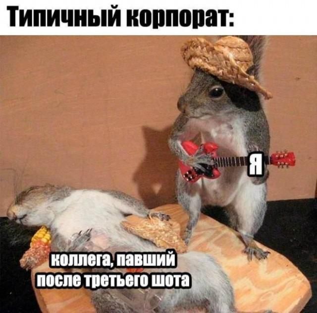 Типичный корпоратив: Я коллега, павший после третьего шота