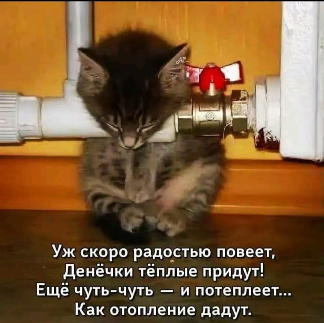 Уж скоро радостью повеет, Денёчки тёплые придут! Ещё чуть-чуть — и потеплеет... Как отопление дадут.
