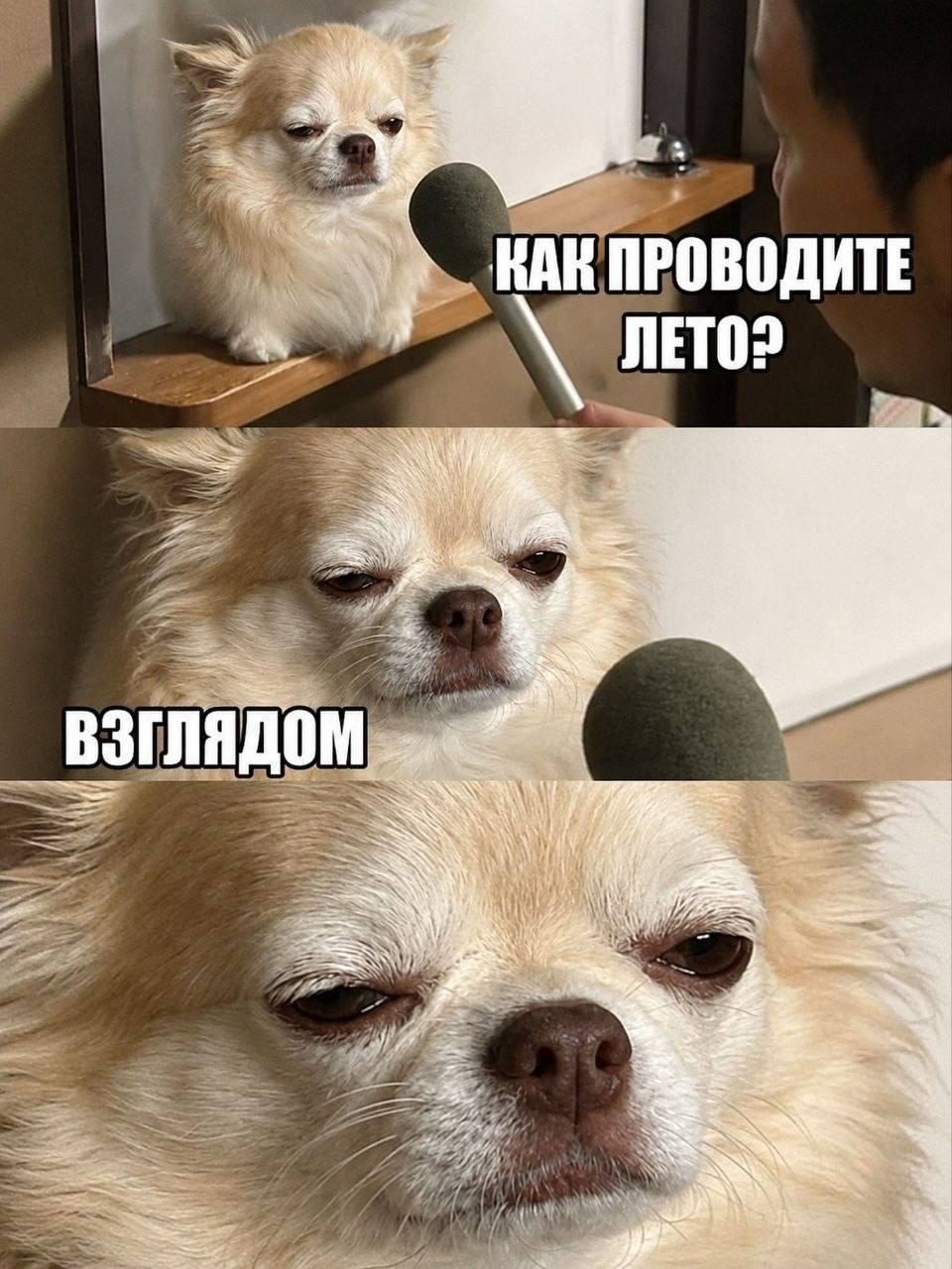 Как проводите лето? Взглядом