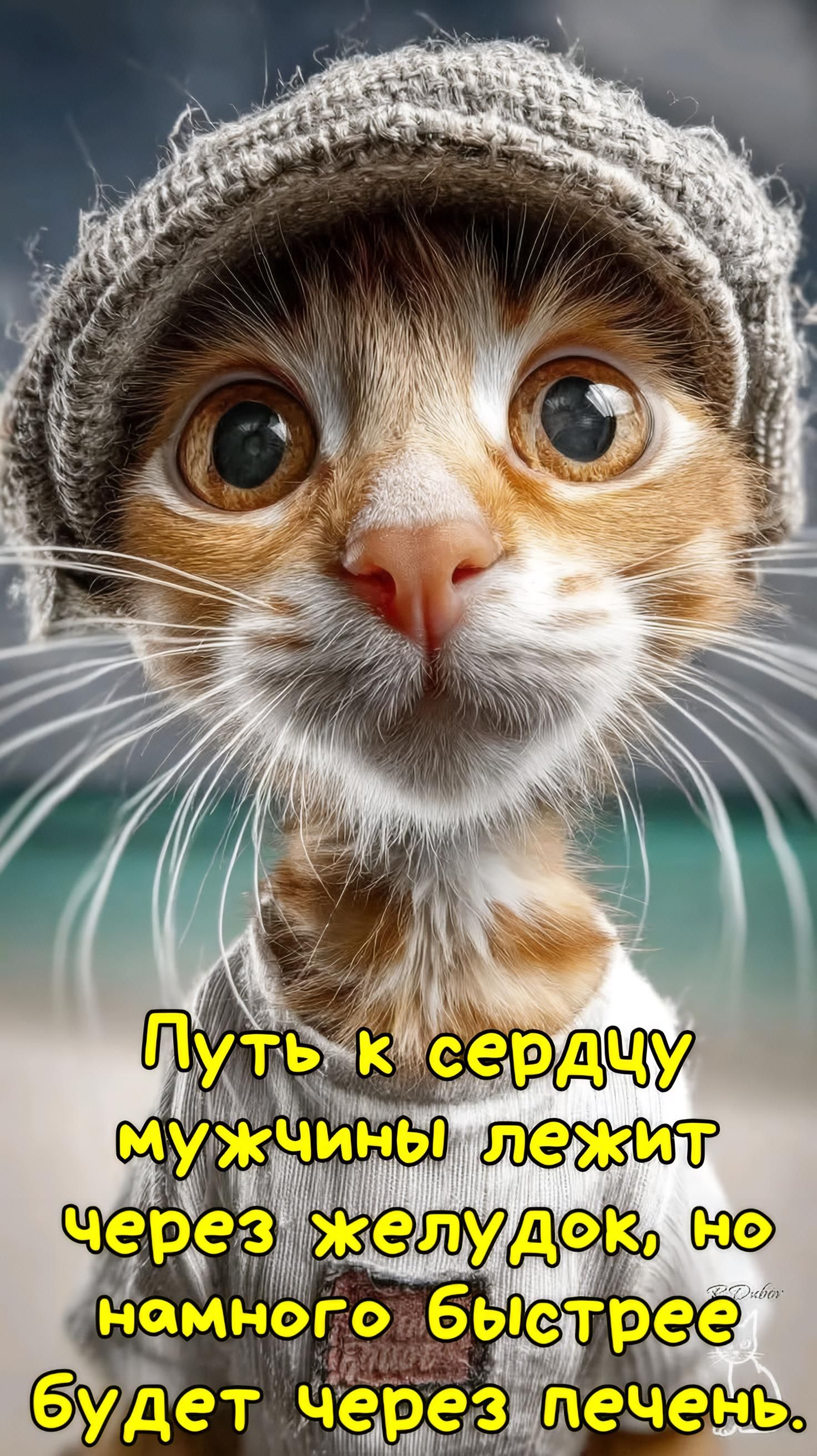 Путь к сердцу мужчины лежит через желудок, но намного быстрее будет через печень.