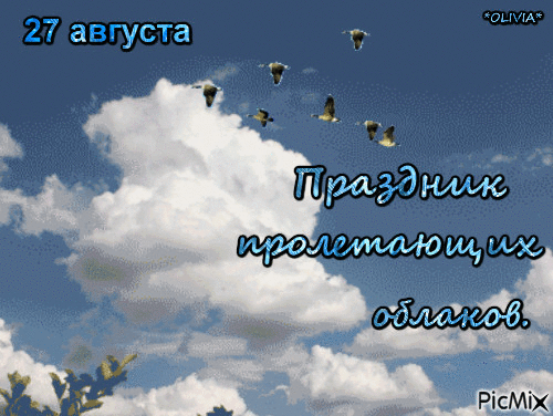 27 августа Праздник пролетающих облаков *OLIVIA* PicMix