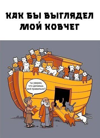 КАК БЫ ВЫГЛЯДЕЛ МОЙ КОВЧЕГ Ты уверен, что делаешь всё правильно?