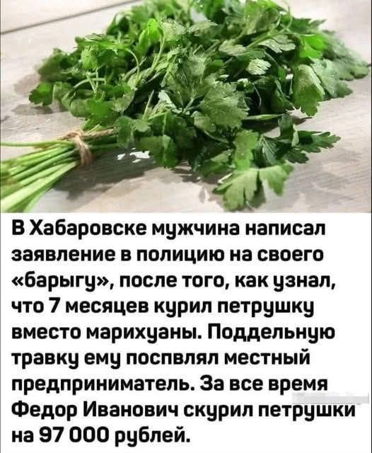 В Хабаровске мужчина написал заявление в полицию на своего «барыгу», после того, как узнал, что 7 месяцев курил петрушку вместо марихуаны. Поддельную травку ему посвлял местный предприниматель. За все время Федор Иванович скурил петрушки на 97 000 рублей.