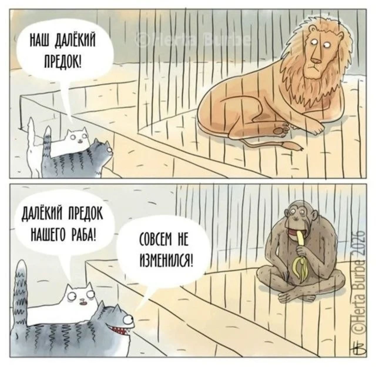 НАШ ДАЛЁКИЙ ПРЕДОК! ДАЛЁКИЙ ПРЕДОК НАШЕГО РАБА! СОВСЕМ НЕ ИЗМЕНИЛСЯ!
