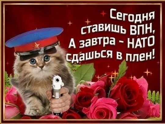 Сегодня ставишь ВПН, А завтра - НАТО сдашься в плен!