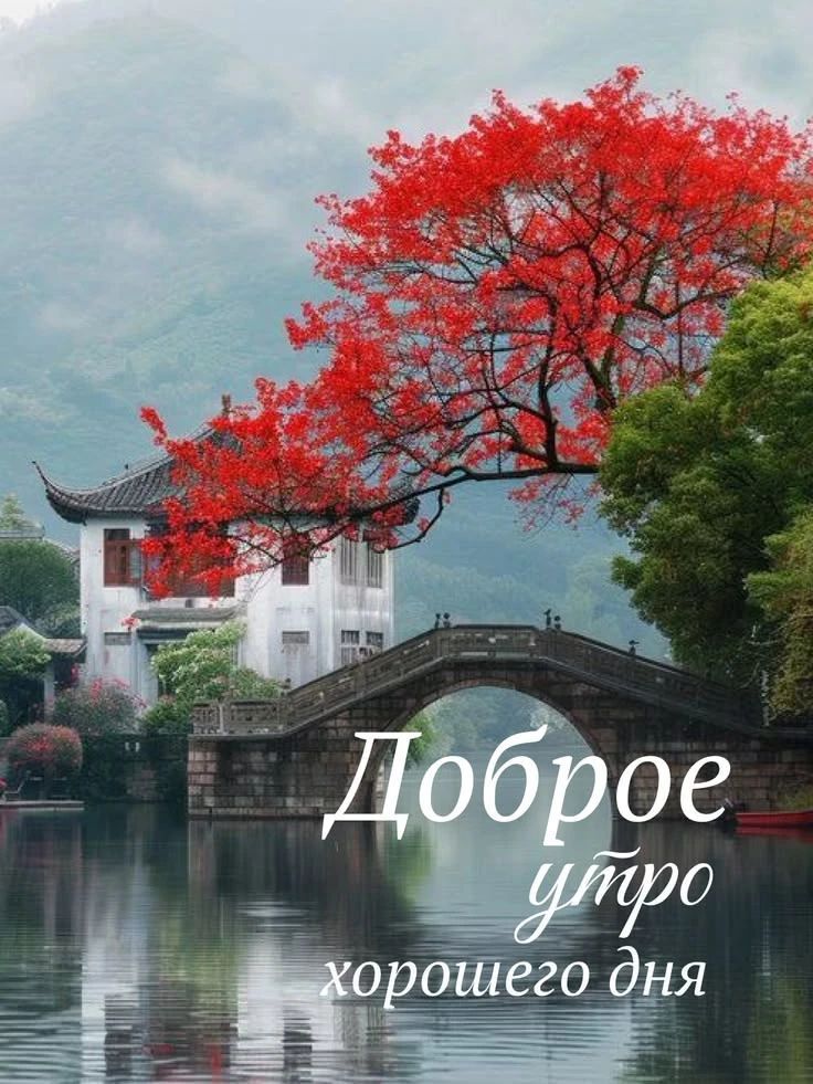 Доброе утро хорошего дня