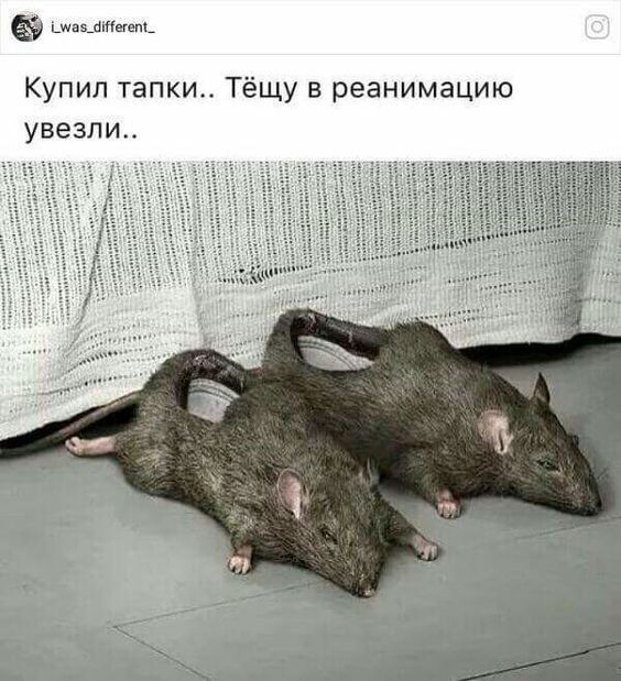 Купил тапки.. Тёщу в реанимацию увезли..