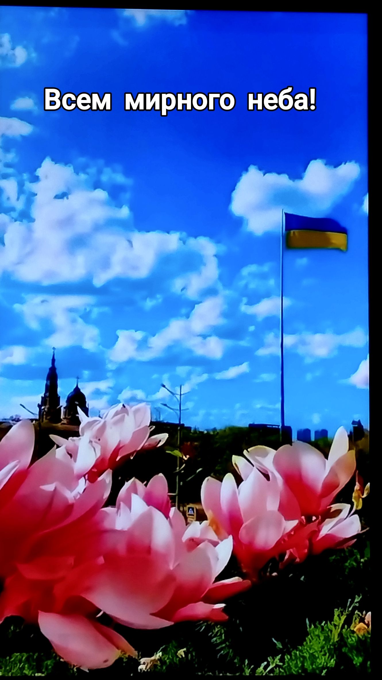 Всем мирного неба!