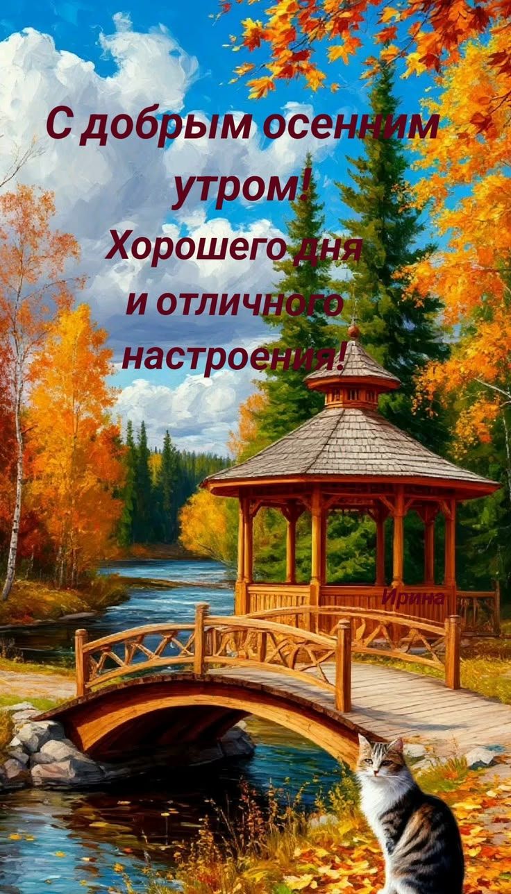 С добрым осенним утром! Хорошего дня и отличного настроения!