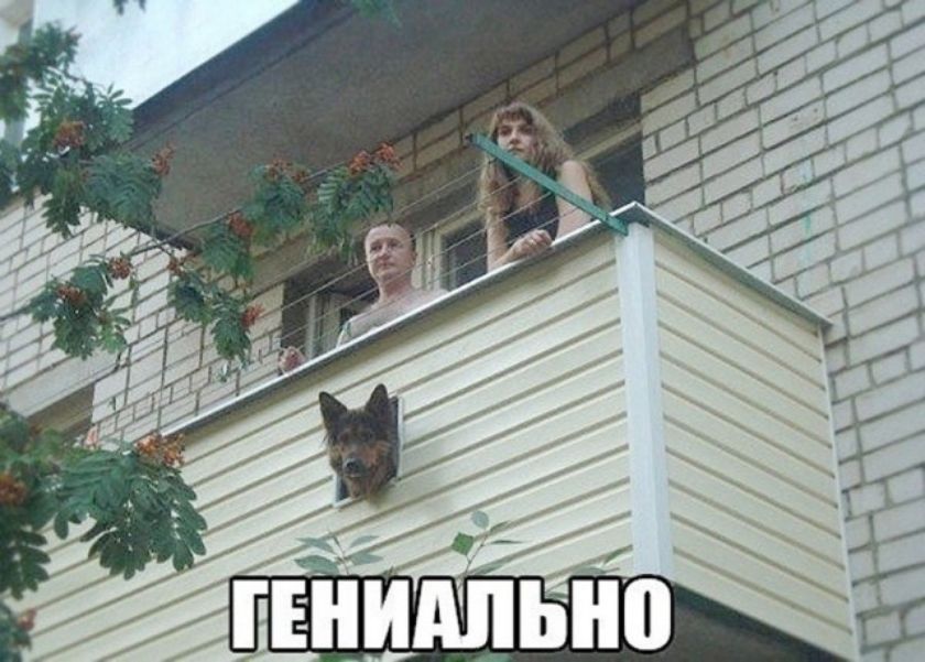 ГЕНИАЛЬНО