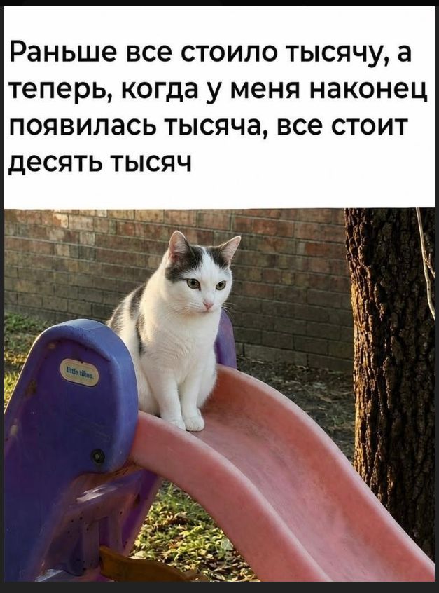 Раньше все стоило тысячу, а теперь, когда у меня наконец появилась тысяча, все стоит десять тысяч