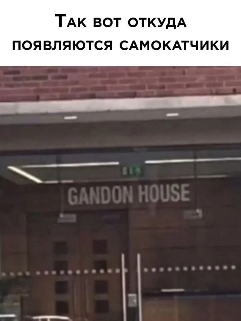 Так вот откуда появляются самокатчики GANDON HOUSE