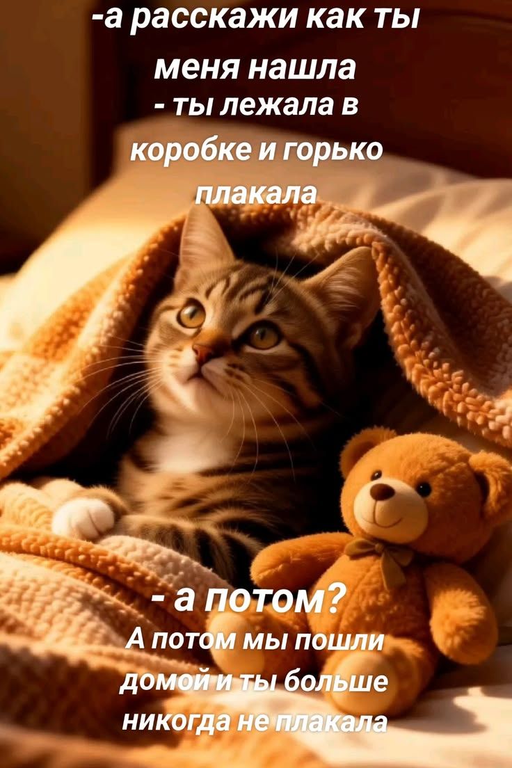 - а расскажи как ты меня нашла - ты лежала в коробке и горько плакала - а потом? А потом мы пошли домой и ты больше никогда не плакала