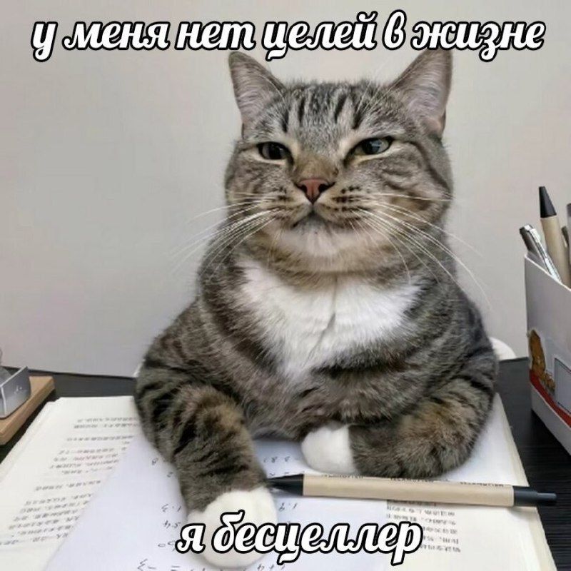 У меня нет целей в жизни. Я бесцеллер.