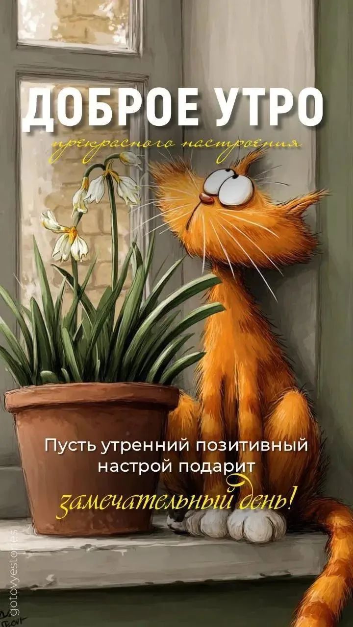 ДОБРОЕ УТРО прекрасного настроения Пусть утренний позитивный настрой подарит замечательный день!