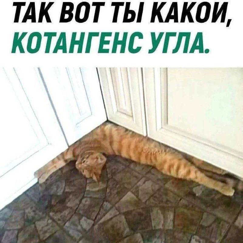 ТАК ВОТ ТЫ КАКОЙ, КОТАНГЕНС УГЛА.