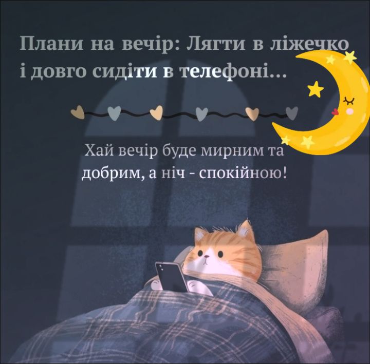 ПЛАНЫ НА ВЕЧЕР: ЛЕЧЬ В КРОВАТКУ И ДОЛГО СИДЕТЬ В ТЕЛЕФОНЕ... Пусть вечер будет мирным и добрым, а ночь - спокойной!