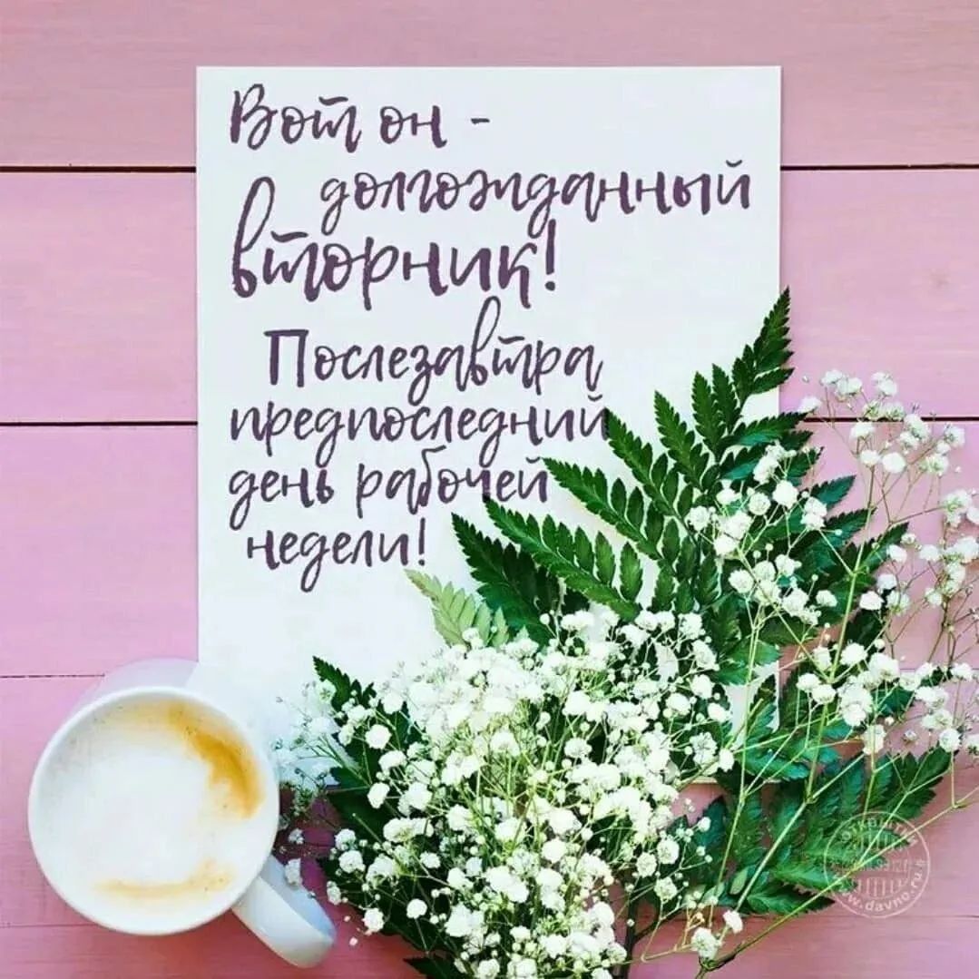 Вот он - долгожданный вторник! Послезавтра предпоследний день рабочей недели!