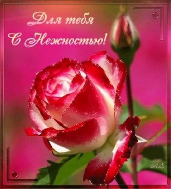 Для тебя С Нежностью!