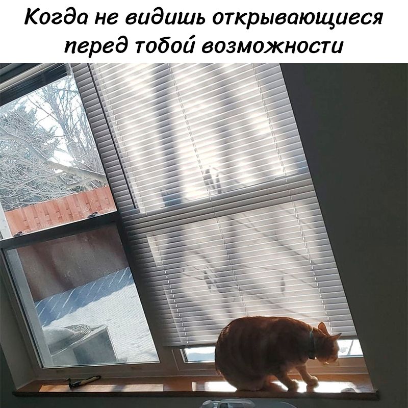 Когда не видишь открывающиеся перед тобой возможности