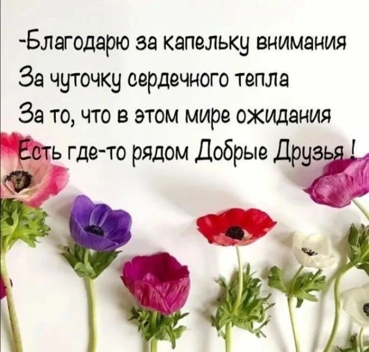 -Благодарю за капельку внимания
За чуточку сердечного тепла
За то, что в этом мире ожидания
Есть где-то рядом Добрые Друзья!