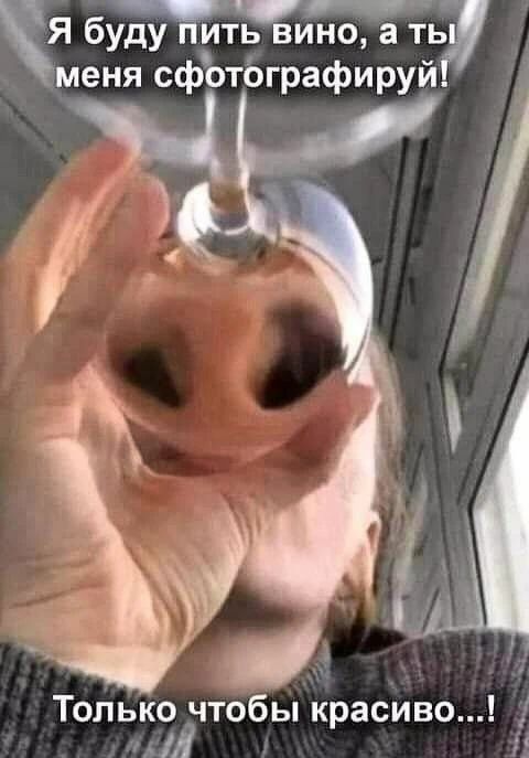 Я буду пить вино, а ты меня сфотографируй! Только чтобы красиво...!