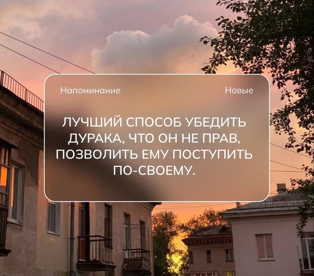 Напоминание Новые ЛУЧШИЙ СПОСОБ УБЕДИТЬ ДУРАКА, ЧТО ОН НЕ ПРАВ, ПОЗВОЛИТЬ ЕМУ ПОСТУПИТЬ ПО-СВОЕМУ.