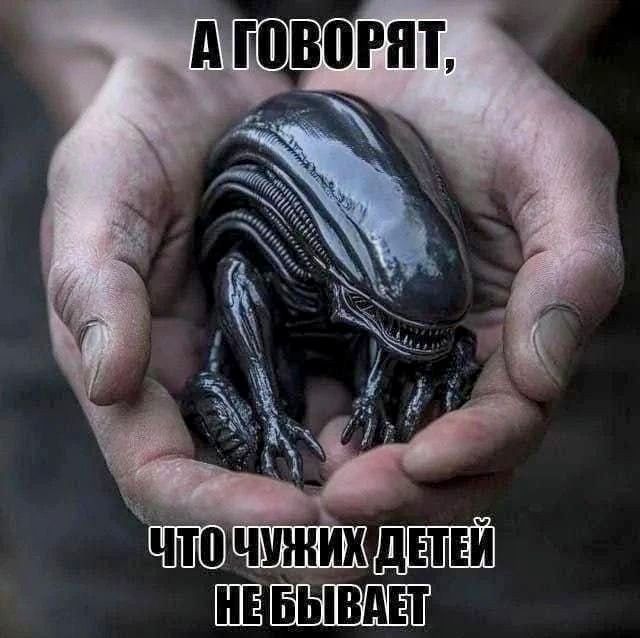 А говорят, что чужих детей не бывает