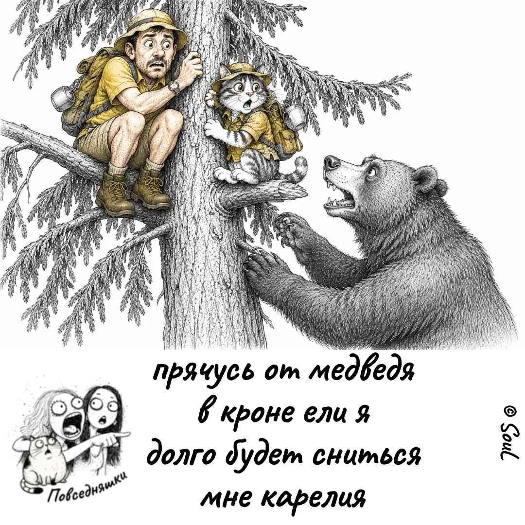 прячусь от медведя в кроне ели я долго будет сниться мне карелия Повседневняшки © Soul