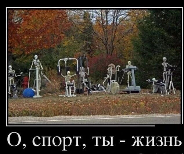 О, спорт, ты - жизнь