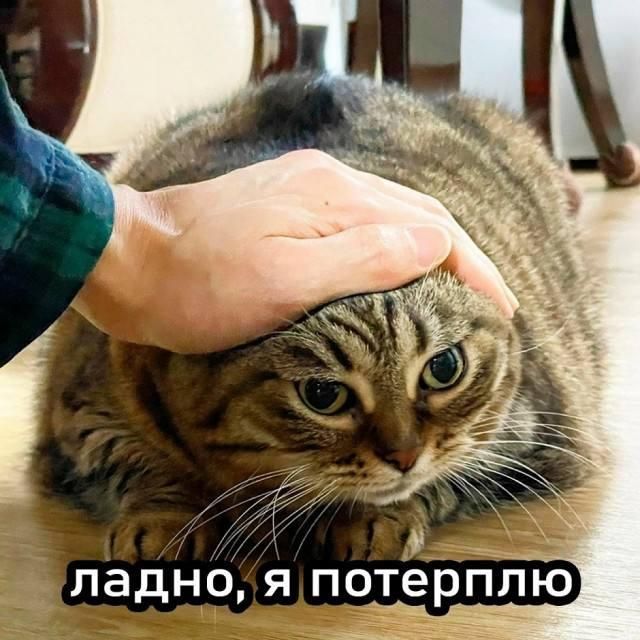 ладно, я потерплю