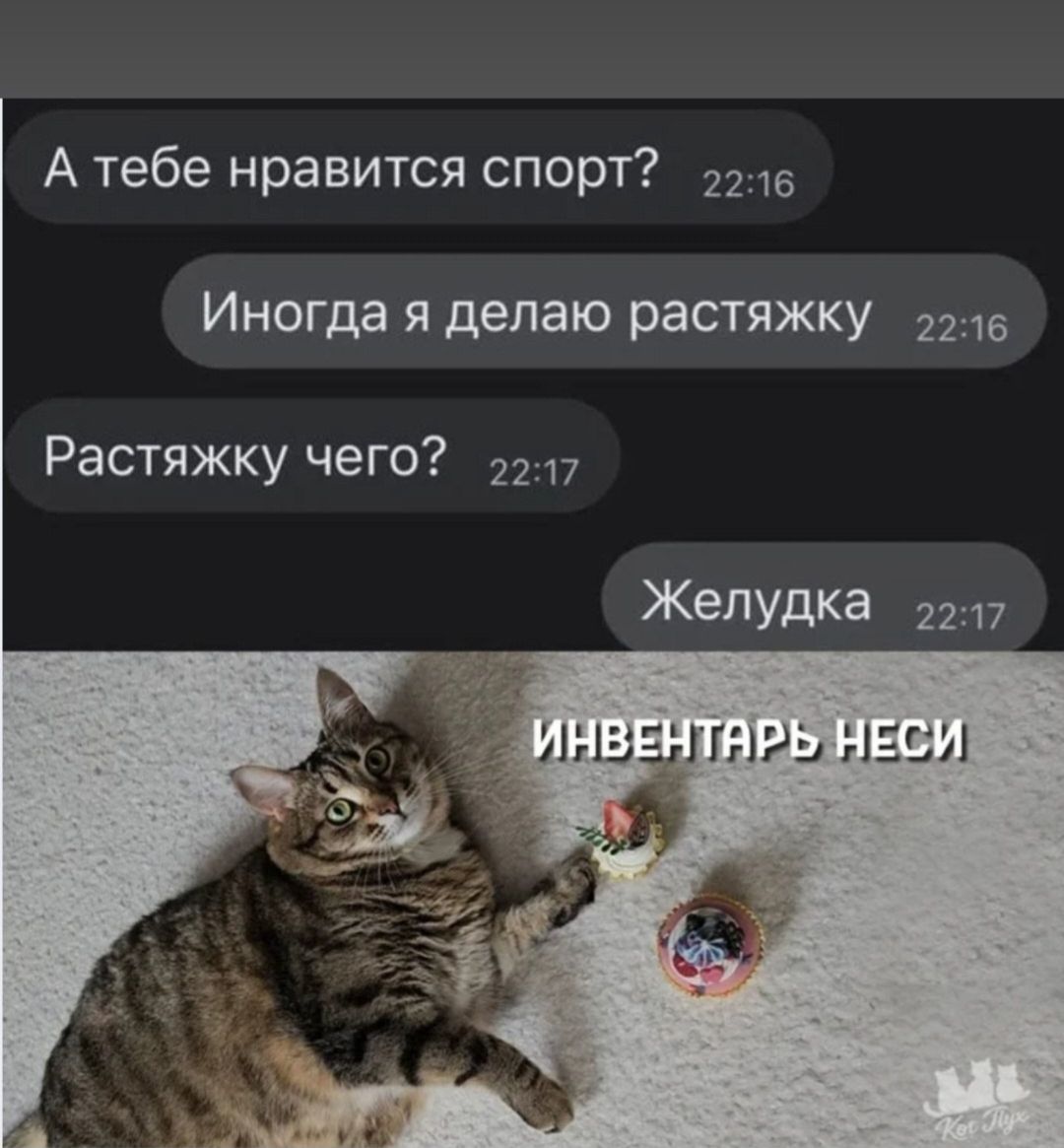 А тебе нравится спорт? Иногда я делаю растяжку. Растяжку чего? Желудка. ИНВЕНТАРЬ НЕСИ