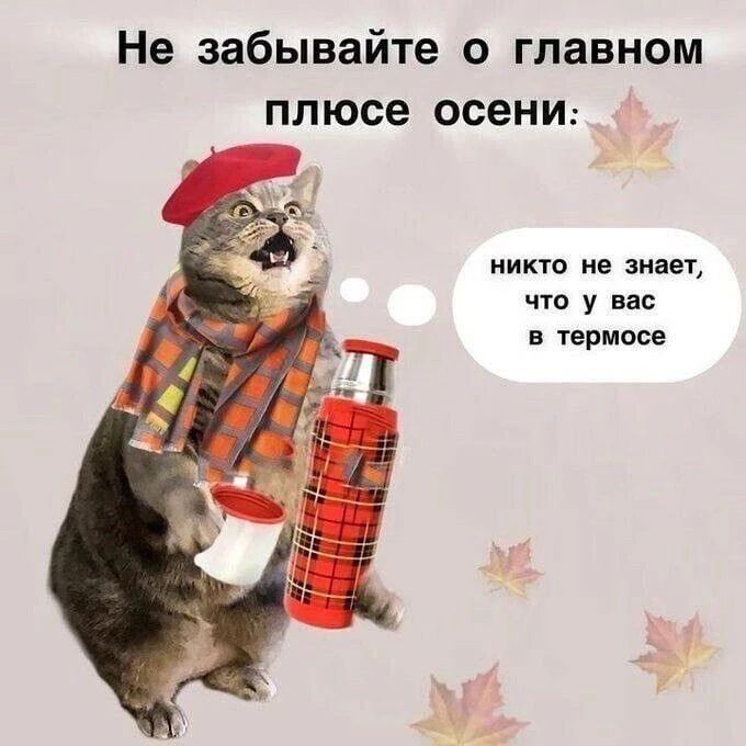 Не забывайте о главном плюсе осени: никто не знает, что у вас в термосе