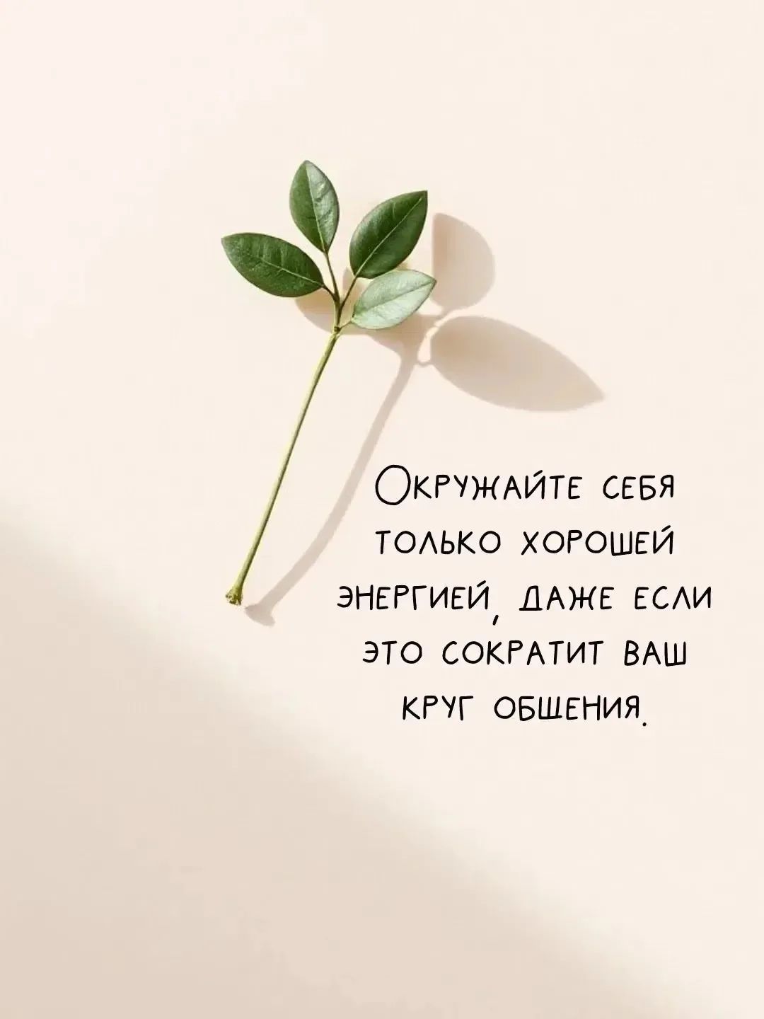 Окружайте себя только хорошей энергией, даже если это сократит ваш круг общения.