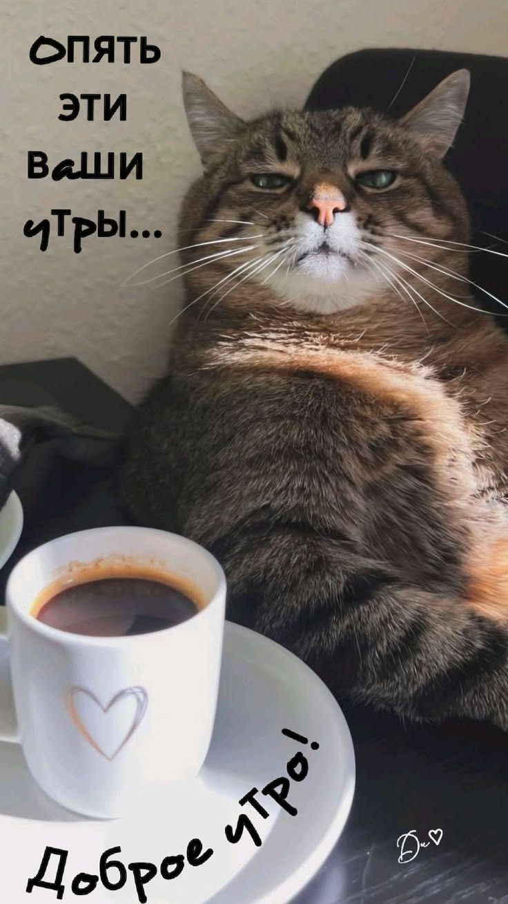Опять эти ваши утры... Доброе утро!