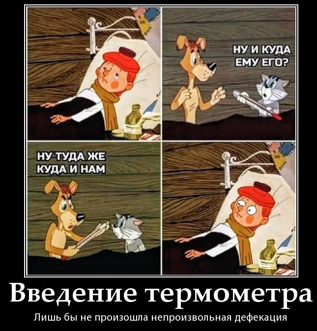 НУ И КУДА ЕМУ ЕГО? НУ ТУДА ЖЕ КУДА И НАМ. Введение термометра. Лишь бы не произошла непроизвольная дефекация