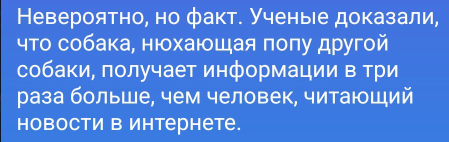 Невероятно, но факт. Ученые доказали, что собака, нюхающая попу другой собаки, получает информации в три раза больше, чем человек, читающий новости в интернете.