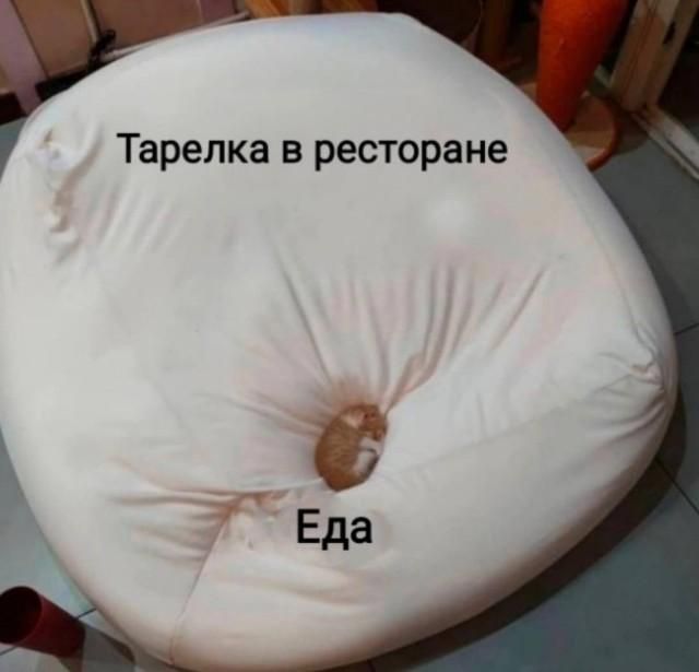 Тарелка в ресторане Еда