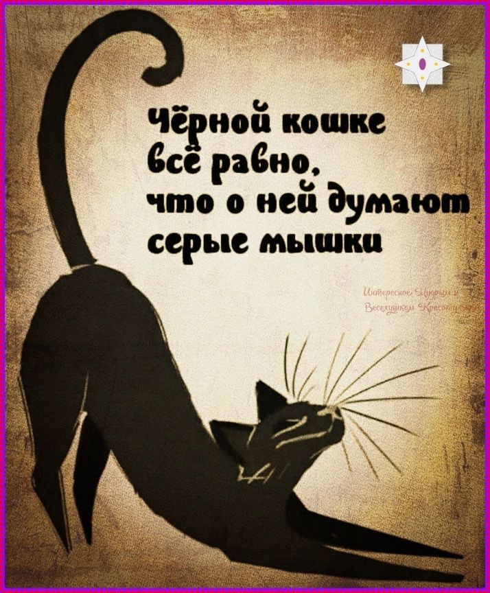 Чёрной кошке всё равно, что о ней думают серые мышки. Интересное. Щедрым и Весельчакам Красоту.