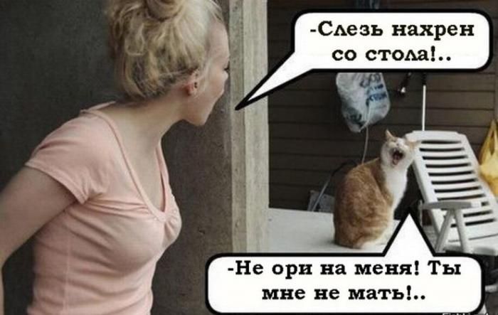 Слезь нахрен со стола!.. Не ори на меня! Ты мне не мать!..