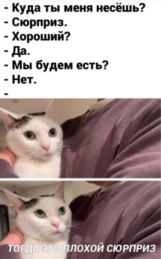 - Куда ты меня несёшь?
- Сюрприз.
- Хороший?
- Да.
- Мы будем есть?
- Нет.
- Тогда это плохой сюрприз