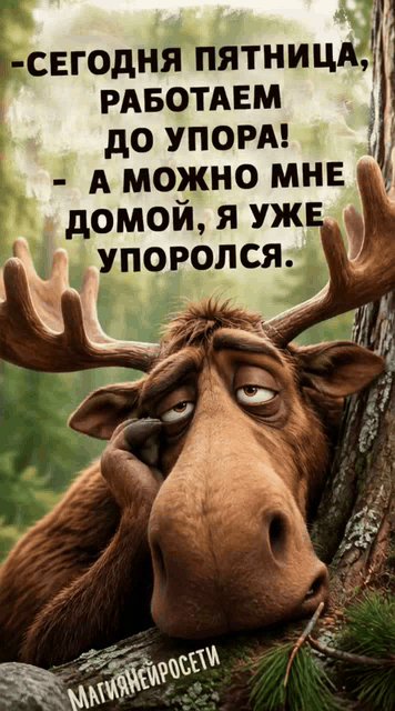 -Сегодня пятница, работаем до упора! - А можно мне домой, я уже упоролся.