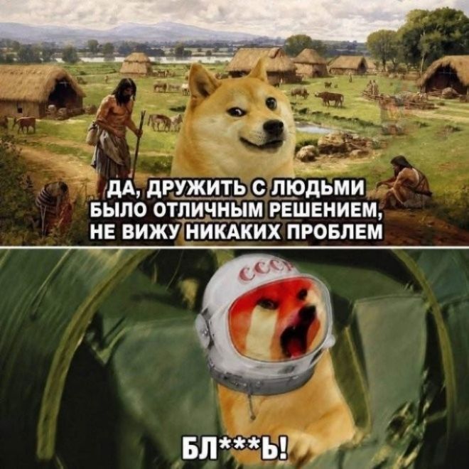 ДА, ДРУЖИТЬ С ЛЮДЬМИ БЫЛО ОТЛИЧНЫМ РЕШЕНИЕМ, НЕ ВИЖУ НИКАКИХ ПРОБЛЕМ БЛ***Ь!