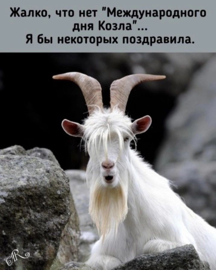 Жалко, что нет 