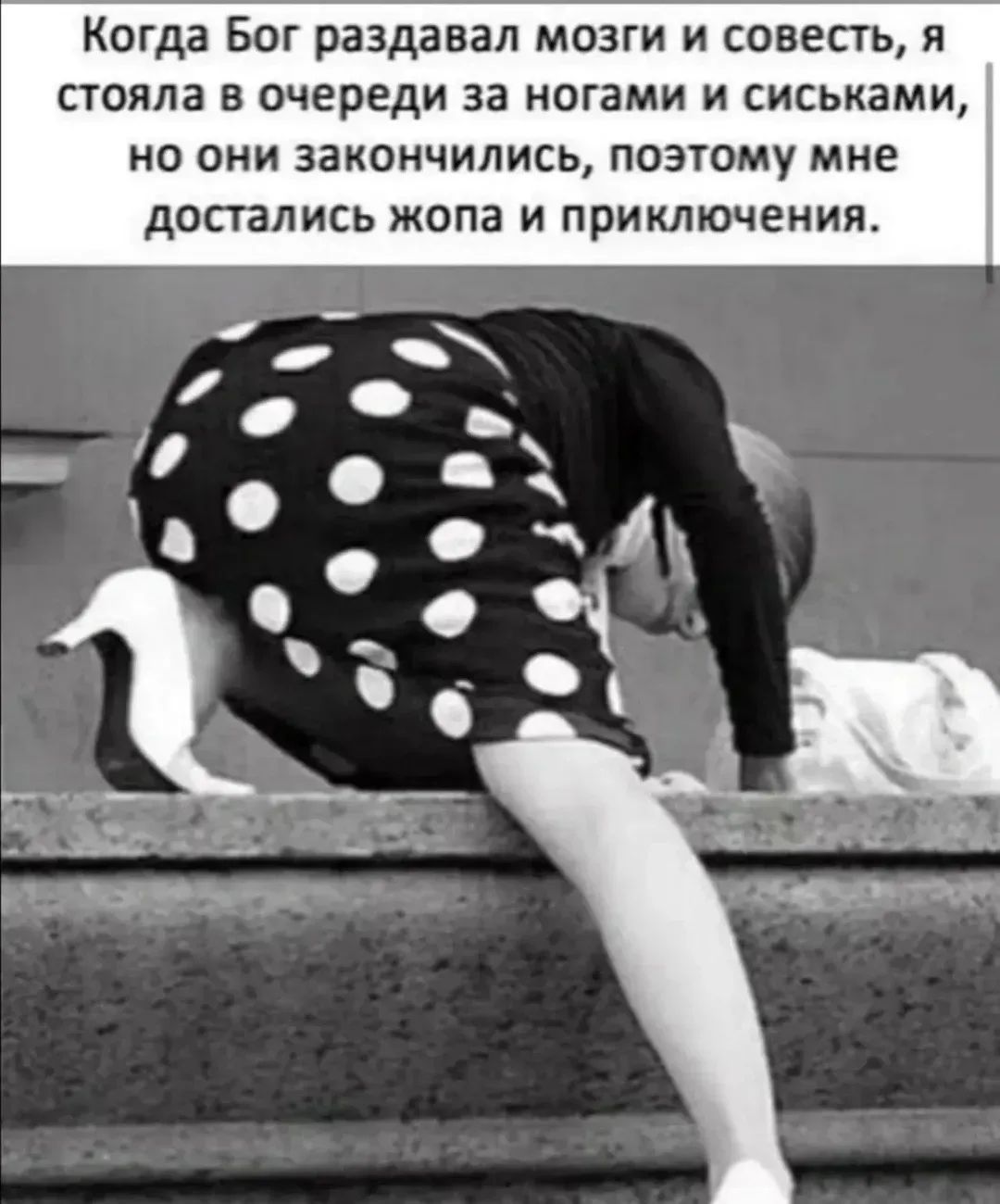 Когда Бог раздавал мозги и совесть, я стояла в очереди за ногами и сиськами, но они закончились, поэтому мне достались жопа и приключения.