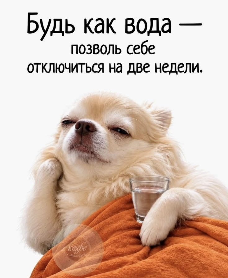 Будь как вода — позволь себе отключиться на две недели.