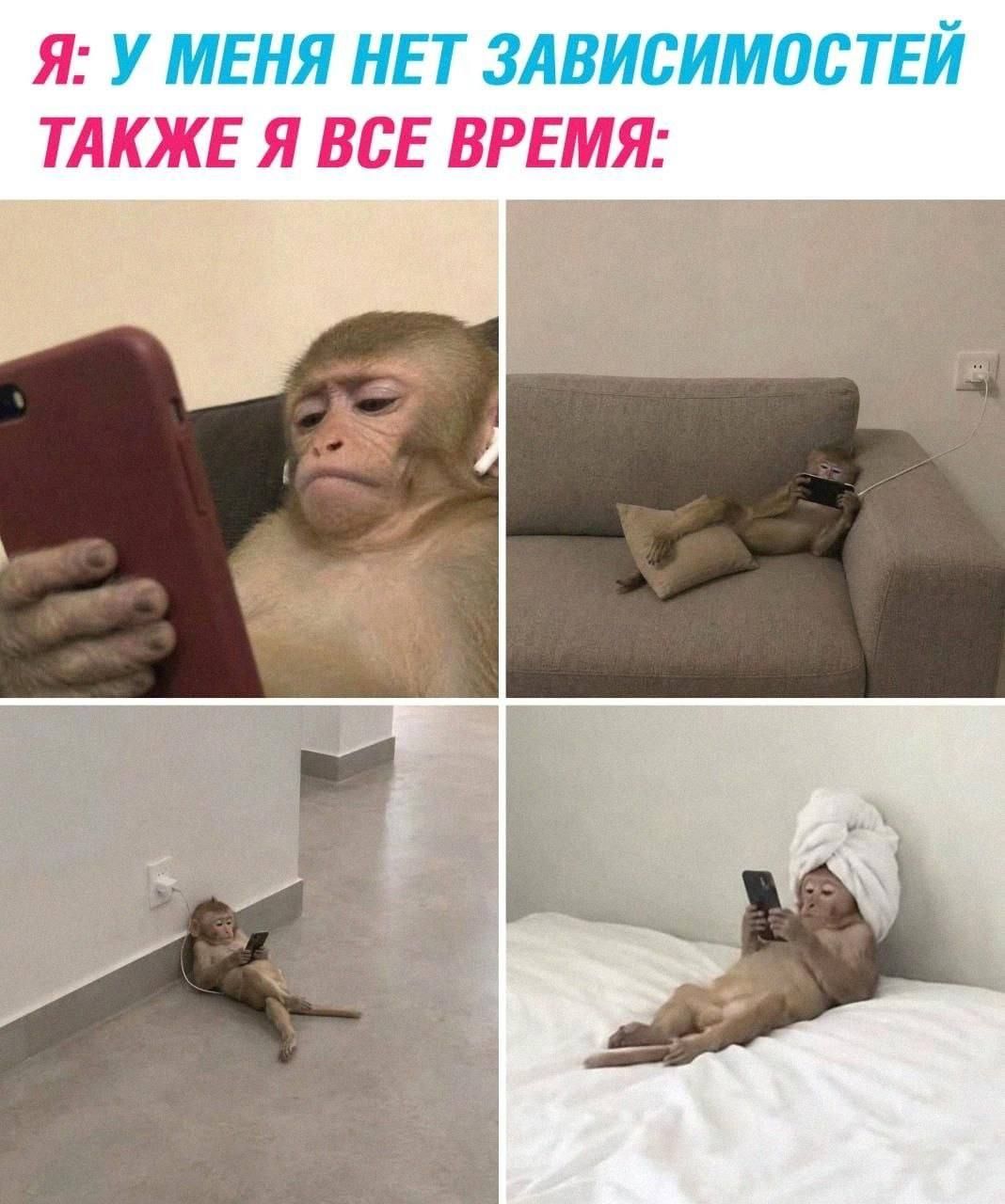 Я: У меня нет зависимостей. Также я все время: