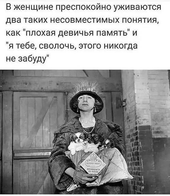 В женщине преспокойно уживаются два таких несовместимых понятия, как 