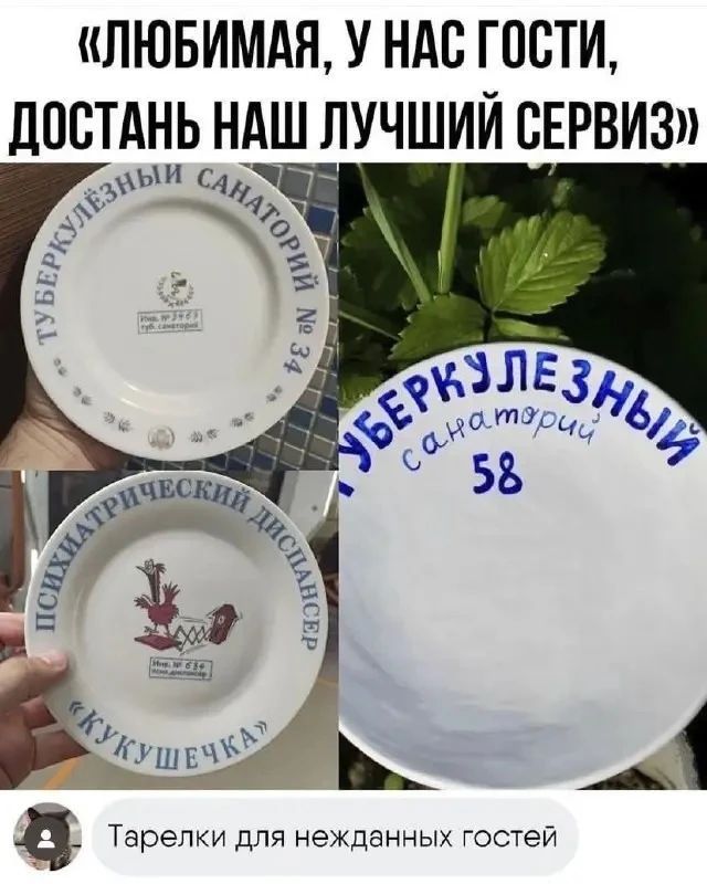 ЛЮБИМАЯ, У НАС ГОСТИ, ДОСТАНЬ НАШ ЛУЧШИЙ СЕРВИЗ. ТУБЕРКУЛЁЗНЫЙ САНАТОРИЙ № 34. ТУБЕРКУЛЁЗНЫЙ САНАТОРИЙ 58. ПСИХИАТРИЧЕСКИЙ ДИСПАНСЕР КУКУШЕЧКА. Тарелки для нежданных гостей